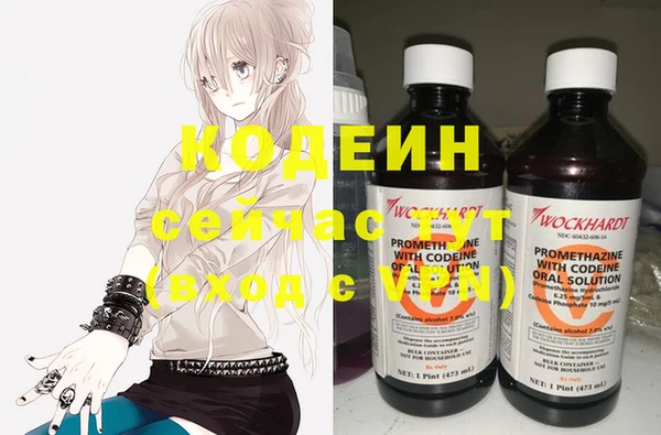 соль ск Верея