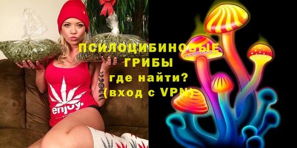 соль ск Верея