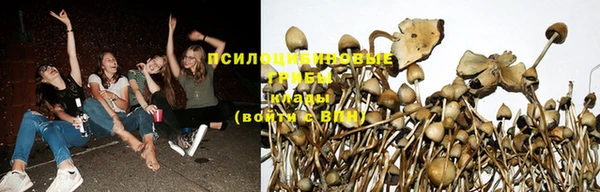 a pvp Верхний Тагил